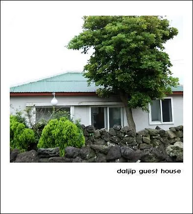 Gasthuis Jeju Daljip Guesthouse